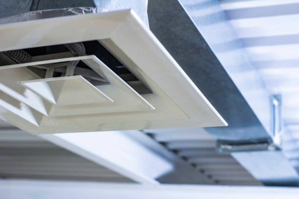 Best Air Duct Mold Removal  in Toledo, IA