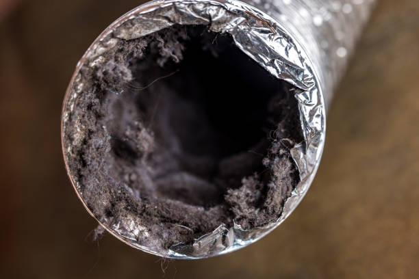 Best Local Air Duct Cleaning Services  in Toledo, IA