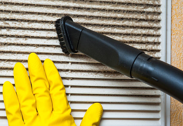 Best Home Air Vent Cleaning  in Toledo, IA
